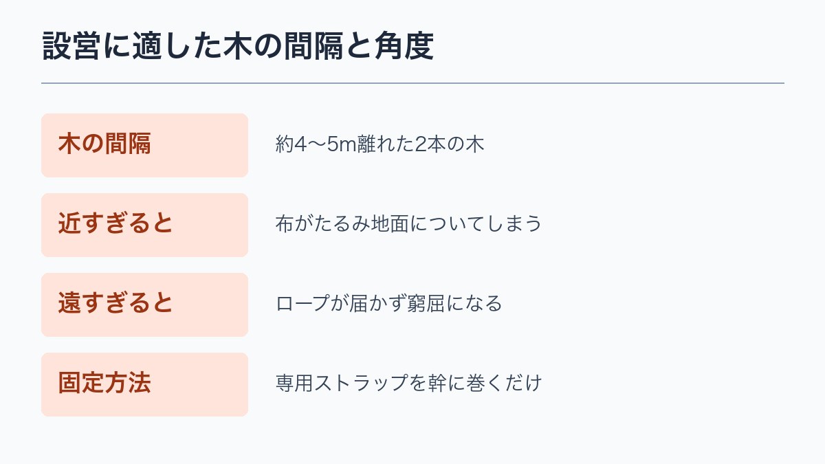 設営に適した木の間隔と角度