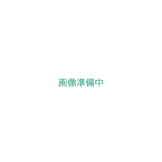 Solix ポータブルソーラーパネル