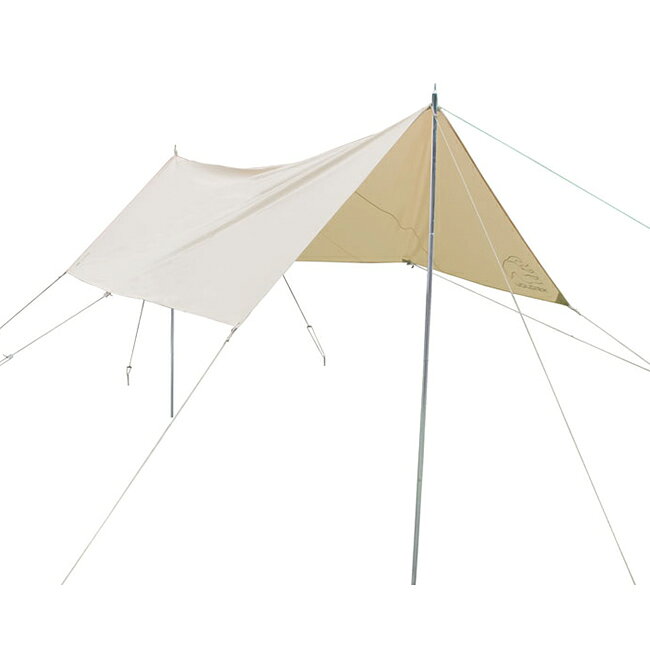 Kari Tarp