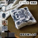 POST GENERAL ポストジェネラル ELECTRIC HOT-WATER BAG WH YETI