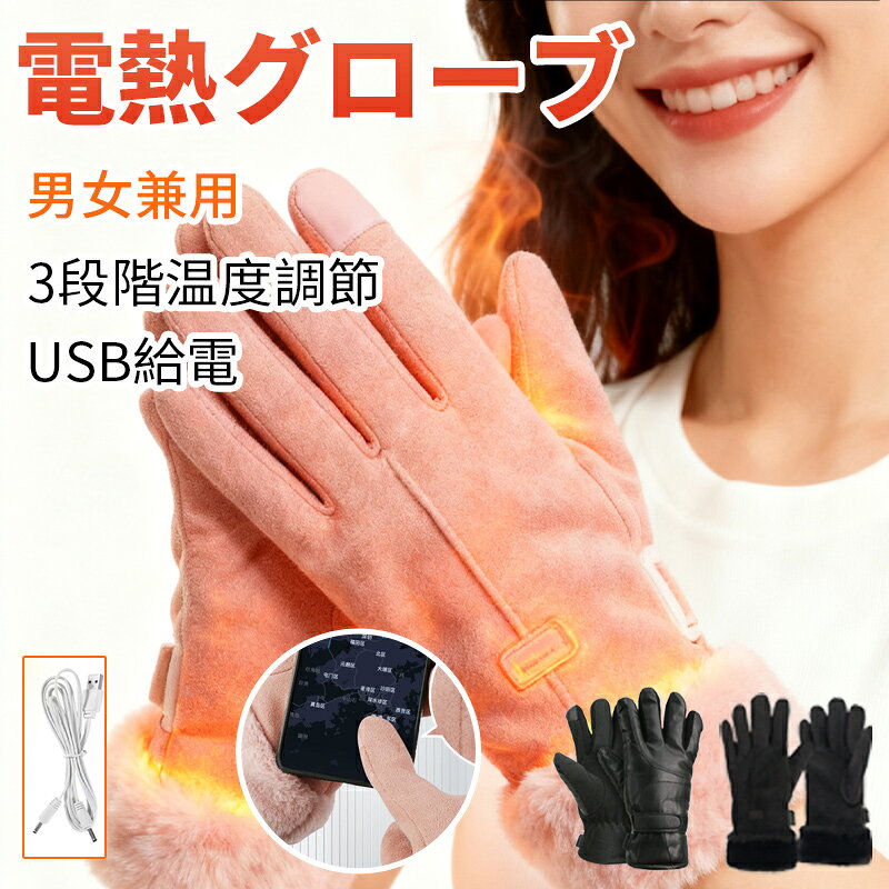 電熱グローブ バイク用 ユニセックス