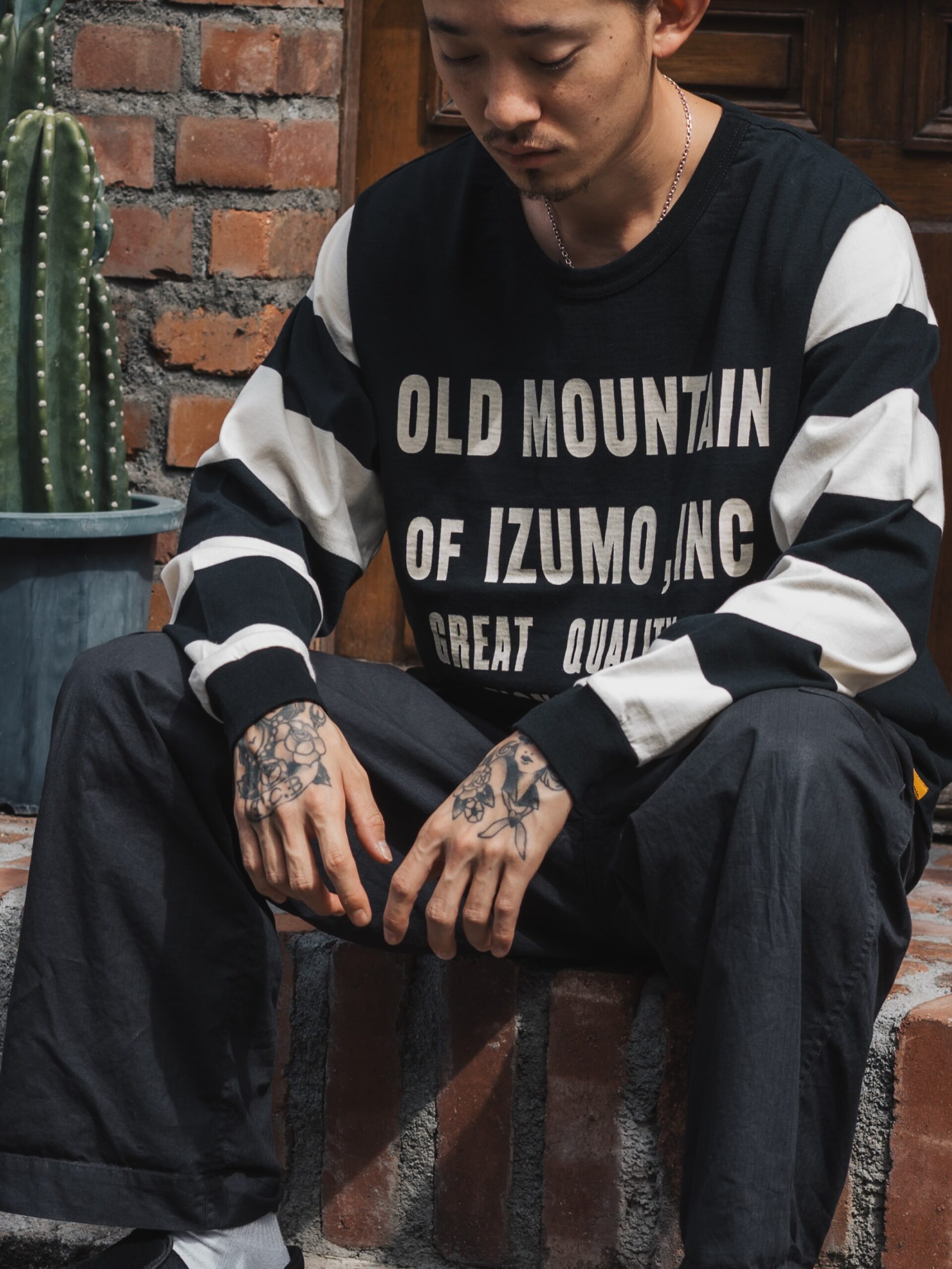 OLD MOUNTAIN border sleeveT