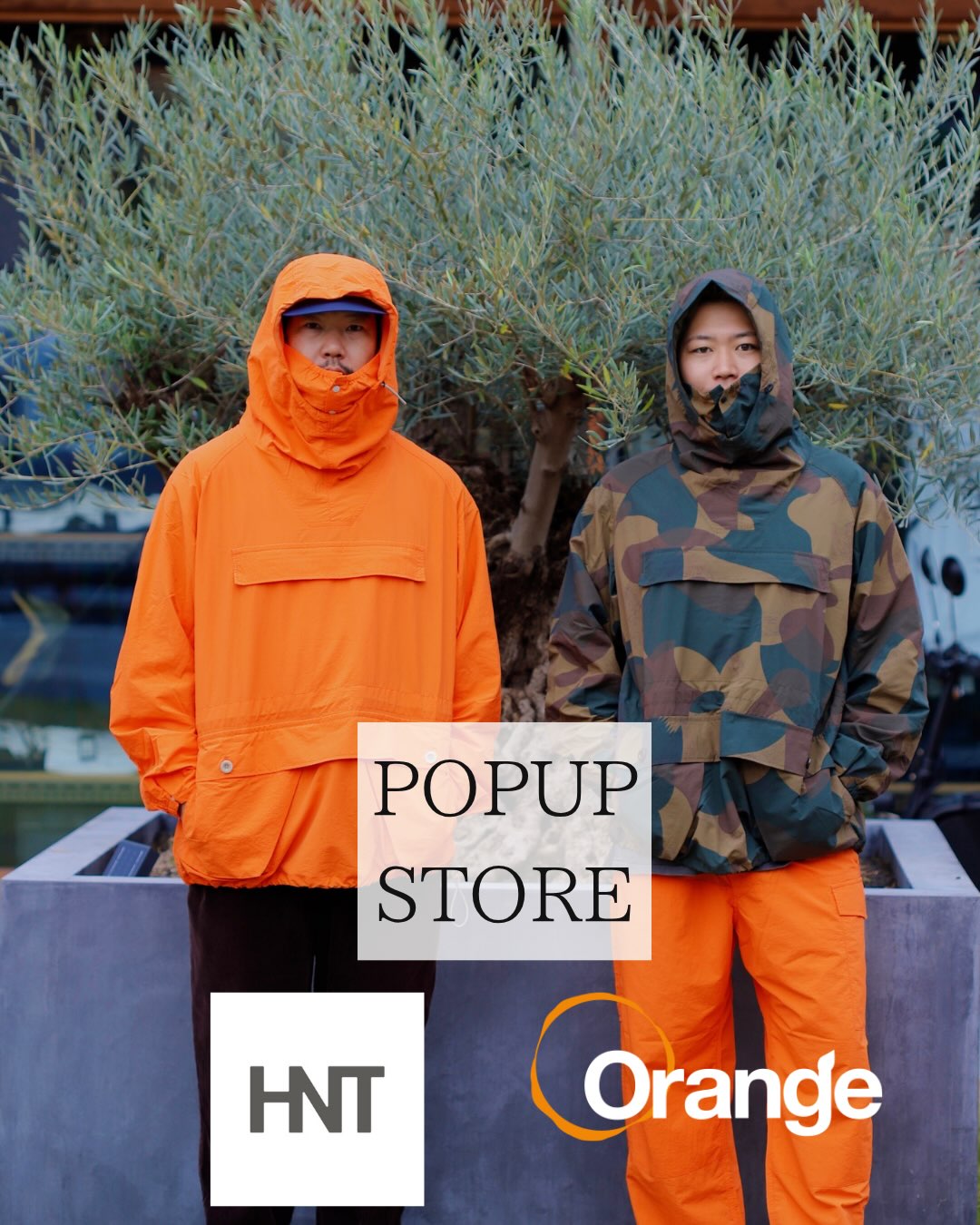 Orange HNT POPUP