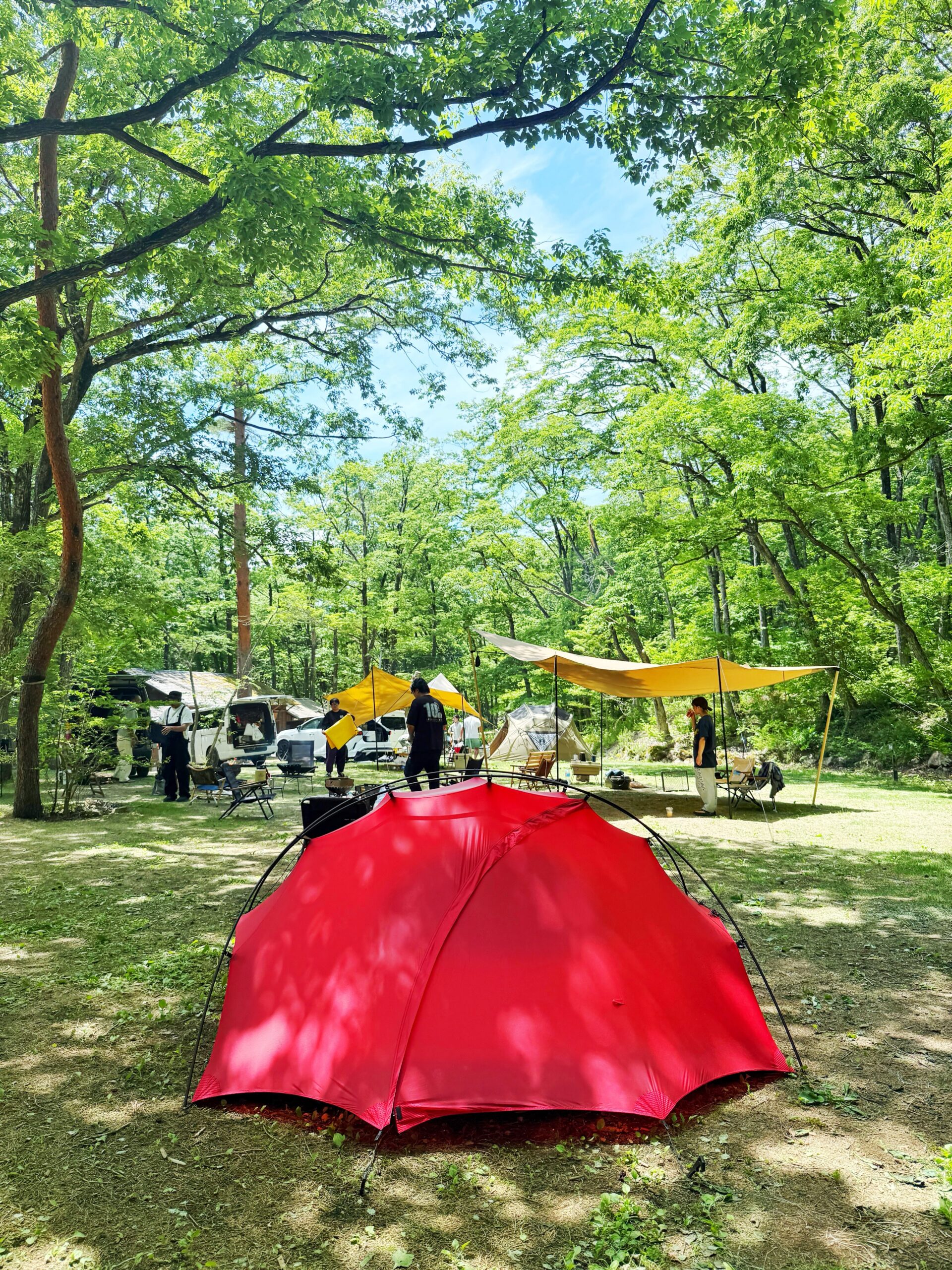 asimocrafts AMCCAMP