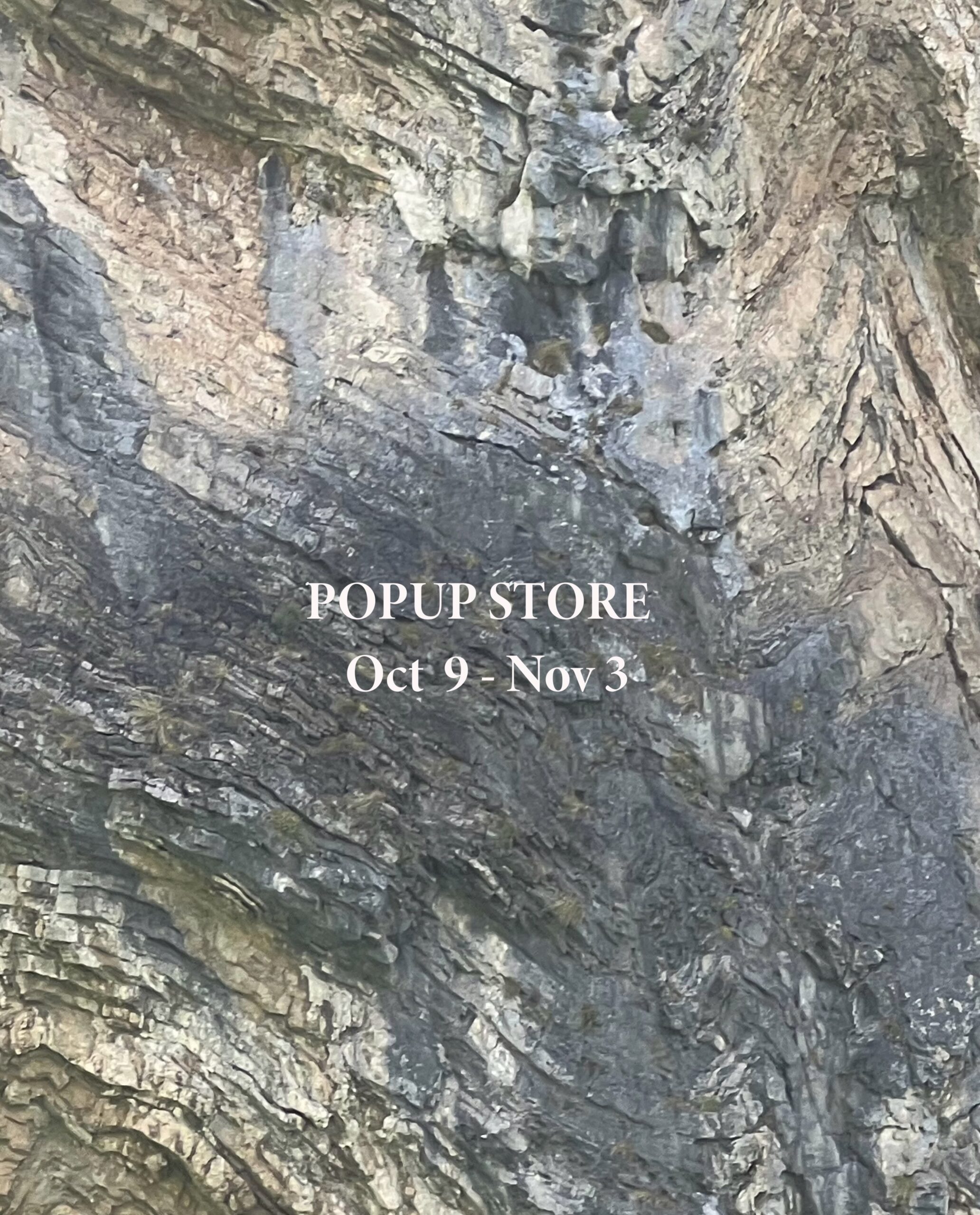 onc merino FEELSEEN GINZA